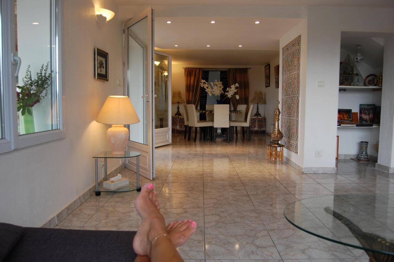 Villa Panoramique Saint-Clair-du-Rhone Esterno foto