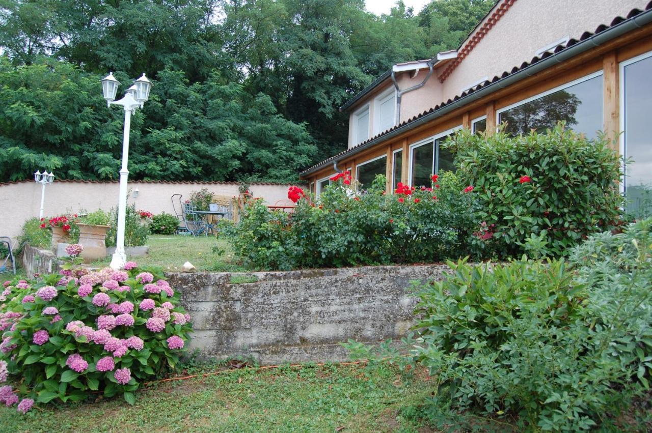 Villa Panoramique Saint-Clair-du-Rhone Esterno foto