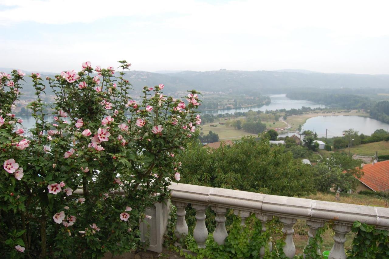 Villa Panoramique Saint-Clair-du-Rhone Esterno foto