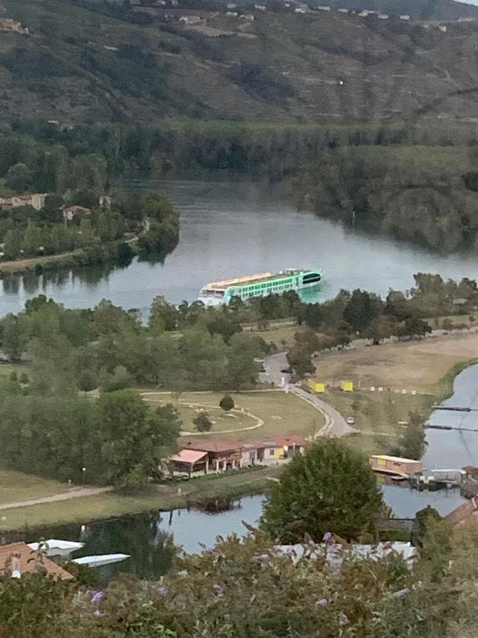 Villa Panoramique Saint-Clair-du-Rhone Esterno foto